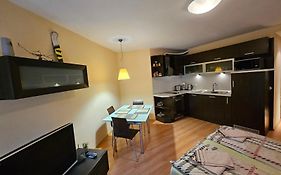 Borovets Villa Park Studio