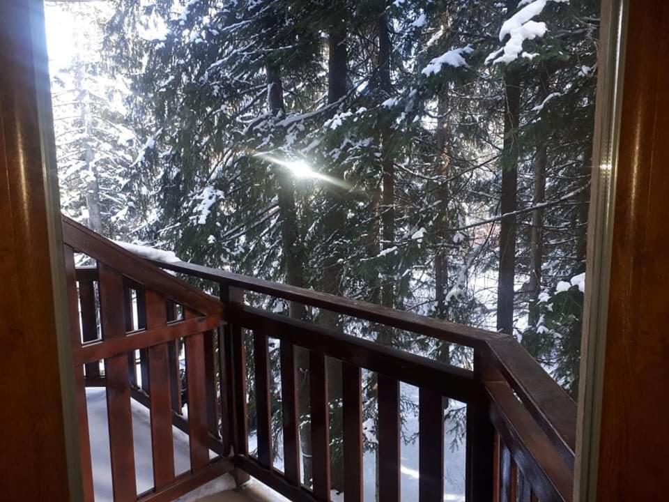 Borovets Villa Park Studio Zewnętrze zdjęcie