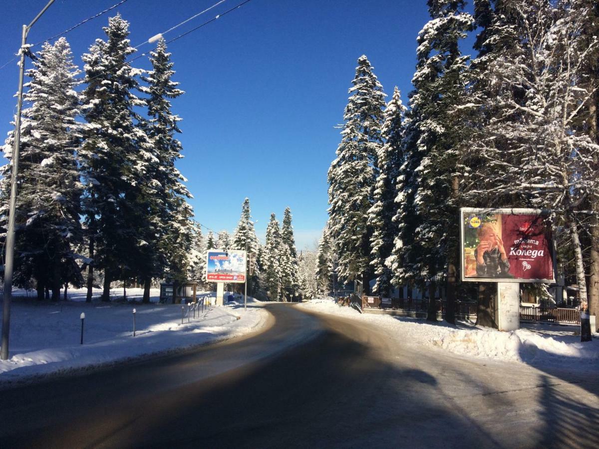 Borovets Villa Park Studio Zewnętrze zdjęcie