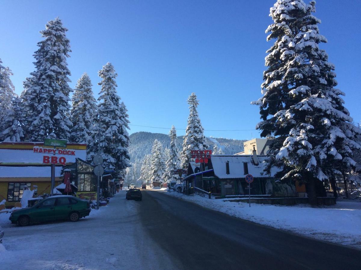 Borovets Villa Park Studio Zewnętrze zdjęcie